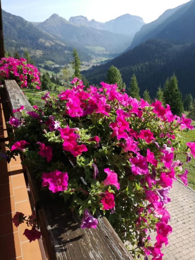 Chalet Relax Pozza di Fassa Dış mekan fotoğraf