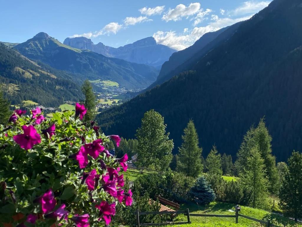 Chalet Relax Pozza di Fassa Dış mekan fotoğraf