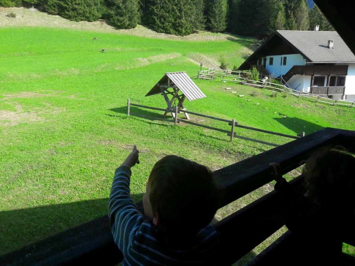 Chalet Relax Pozza di Fassa Dış mekan fotoğraf